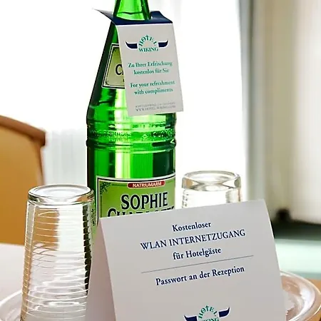 Hotel Wiking 3*