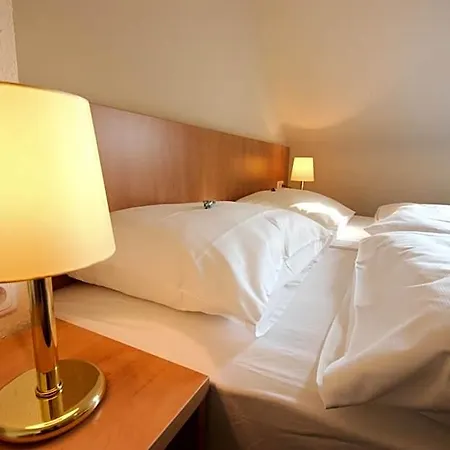 Hotel Wiking
