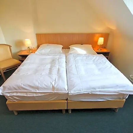 Hotel Wiking