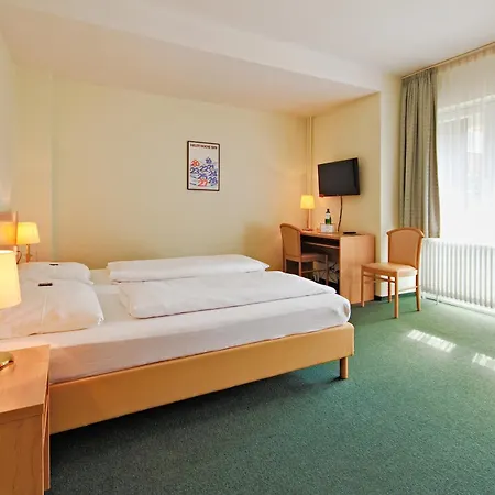 Hotel Wiking 3*