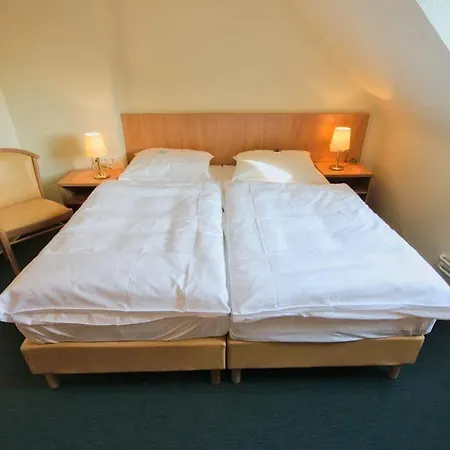 Hotel Wiking 3*