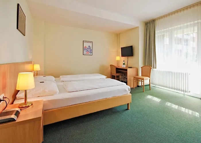 Hotel Wiking 3*